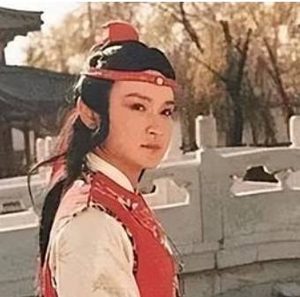 红楼梦中大观园试才题对额时，宝玉为何评价父亲粗陋不雅