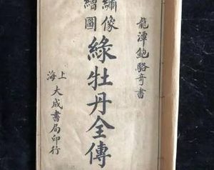 《绿牡丹全传》：清代白话长篇侠义公案小说，讲述了什么故事？