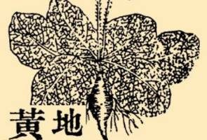 本草纲目·第八卷·草部·地黄具体内容是什么？
