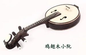 小阮简介，关于这种传统乐器有什么发展历史？