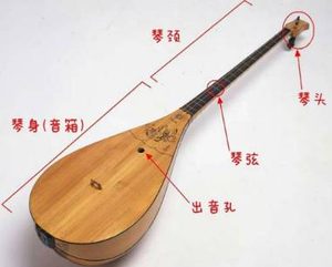 新疆地区有哪些民族乐器？乌孜别克热瓦普就是其中之一