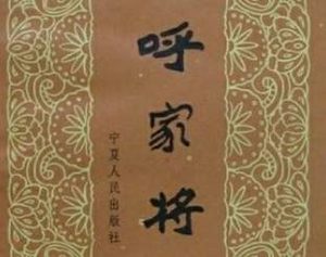 呼家将第二十二回：万花谷呼郎受法，飞石关王环相遇