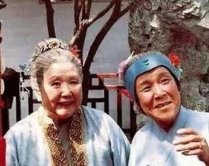 红楼梦中刘姥姥走进蘅芜苑时，为何不说话？
