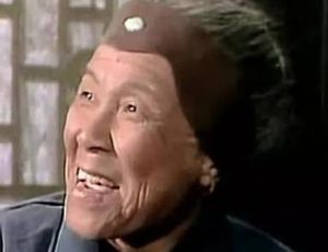 红楼梦刘姥姥游大观园时闹出了多少笑话？宝钗的表现如何
