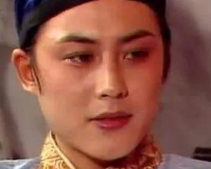 红楼梦中贾琏去平安州是做什么？和什么有关