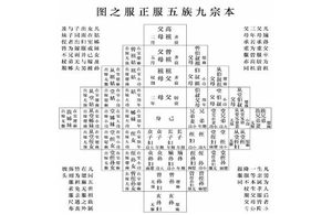 红楼梦中，贾琏、贾宝玉和贾珍是否出五服了？