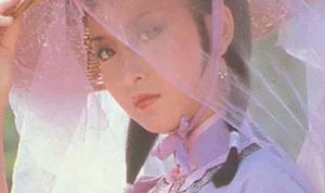 《儿女英雄传》第三十六回（上篇）：满路春风探花及第 一樽佳酿酾酒酬师