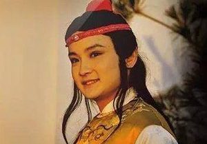 红楼梦中，从婆子的一句话中能窥见贾宝玉的孤独