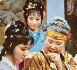 红楼梦中有哪些是说媒人？都替谁说媒?