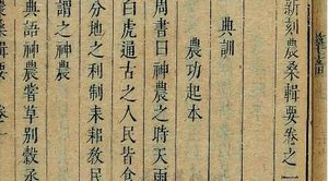 《农桑辑要》：竹木·柳 全文及翻译注释