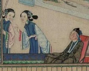 红楼梦中王夫人发动抄检大观园行动的真实目的是什么？