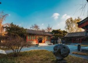红楼梦中庆祝中秋节时发生了什么怪事？为何贾珍被吓一跳？