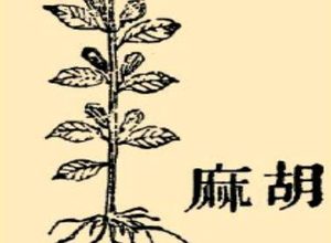 本草纲目·第九卷·谷部·芝麻原文是什么内容？