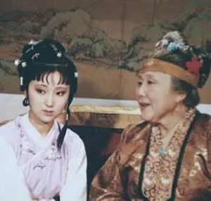 红楼梦中贾府众人都是如何看待黛玉的姻缘的？