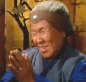 红楼梦中为何会出现一个乡下人刘姥姥?