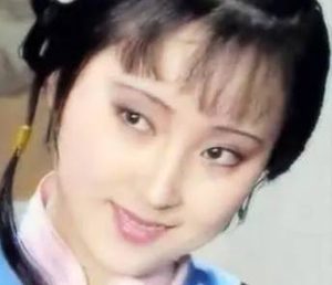 红楼梦中黛玉进贾府只带了两个仆人的原因是什么？