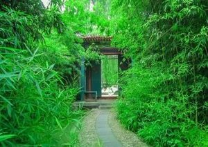 红楼梦中元春为黛玉准备的凤尾罗和芙蓉簟，为何在宝钗手里？