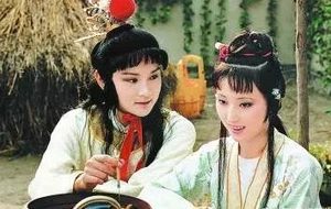 红楼梦中林黛玉不死，贾家就不会败，为什么这么说？