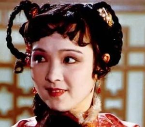 小说红楼梦中宝琴的一生是什么样？