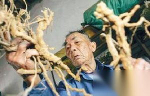 黎族医生治疗疾病一般都用什么传统方法