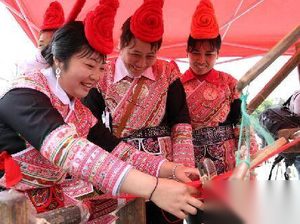 畲族民间艺术 畲族的民间艺术有哪些