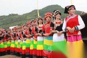 壮族文化 壮族医药文化是怎样发展的