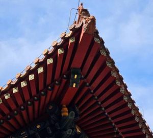 山林田畴之困：宗教产业扩张下的民生之殇