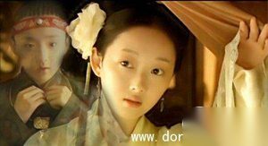 《红楼梦》中的各种谐音隐义：名字暗喻命运