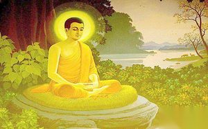 释迦牟尼在菩提树下觉悟了什么
