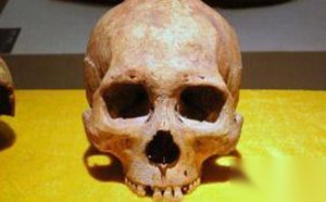 扎赉诺尔人是美洲印第安人的最早祖先吗