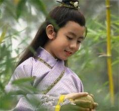 秦王赢驷有公子通这个儿子吗 季君之乱与公子通有关吗