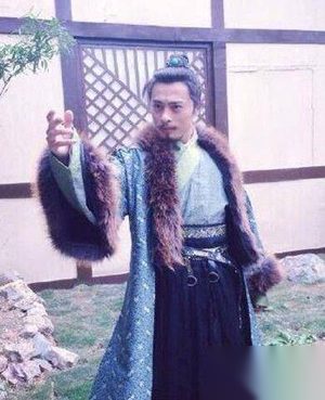 秦国大臣魏冉的身世之谜：宣太后同母弟弟