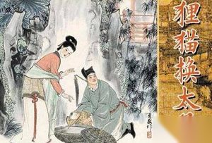 揭秘“狸猫换太子”事件背后的惊人真相