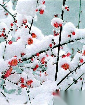 周邦彦和宋徽宗以及名妓李师师有什么关系