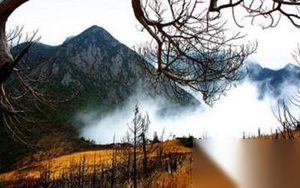 乐山黑竹沟:人畜神秘失踪的"死亡地带"