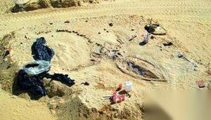 智利沙漠惊现：75具史前鲸类化石