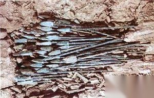机关重重：秦陵暗藏哪些机关暗器?