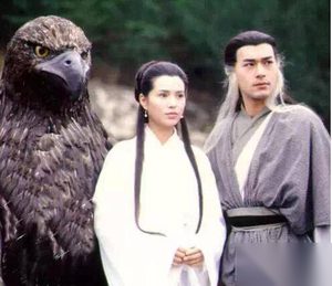 杨过和小龙女差几岁 杨过与小龙女的身世