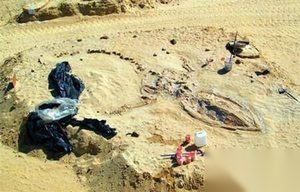 揭秘智利沙漠惊现：75具史前鲸类化石