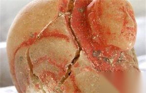 玛雅公主墓葬被发现 尸体上盖满红色贝壳