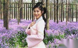 秦罗敷《孔雀东南飞》是根据她的事迹创作