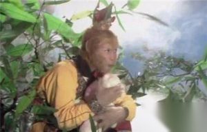 西游记：美猴王孙悟空真的是石头里蹦出来的吗？