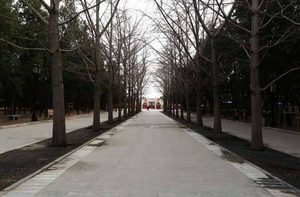 更定祀典后嘉靖帝下令修建了哪些建筑？都有些什么作用
