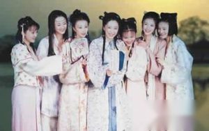 揭秘：秦淮八艳与八大胡同妓女的区别在哪里？