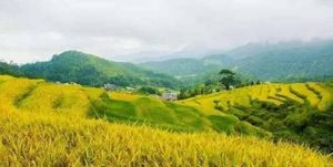 荆湖之战中灭掉的武平是什么来历？有着什么背景