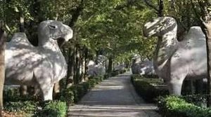 明朝有十六个皇帝，为什么只有十三座陵寝