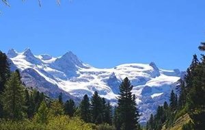 苏武牧羊19年，天寒地冻没东西吃是怎么活下来的