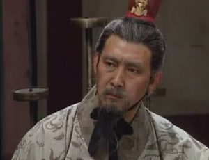魏国动荡大将主动投降，姜维北伐明明取得了胜利，为什么突然撤退