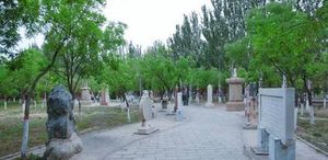 具有东方金字塔之称的墓地：西夏王陵