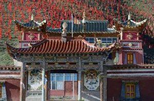 唐朝时期的沙陀族现在去哪里了？沙陀族建立过哪些王朝？